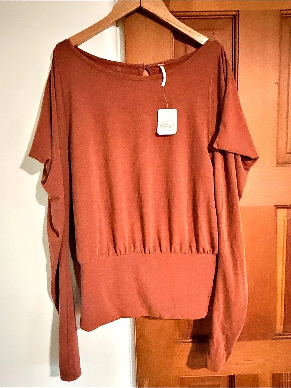 Free People Long Sleeve Rust/Brown Medium NWT
